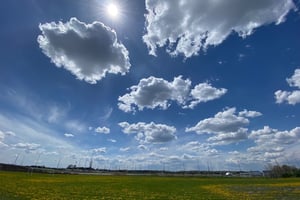 SJAM + Wesley Clover