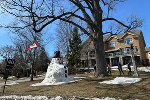ice-skating by the arboretum