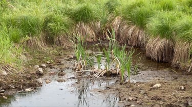 three quarters of two hundred