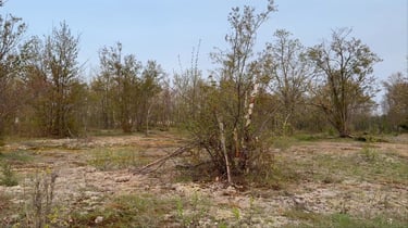 Riding around Shirley’s Bay