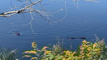 LDW Day 3: day-long pain cave