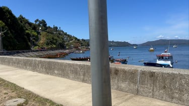 Niebla + Corral 🚵‍♂️