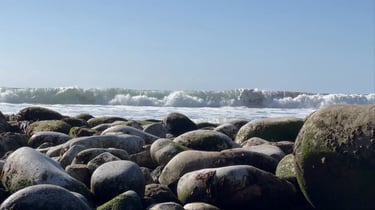Niebla + Corral 🚵‍♂️