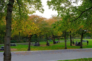amsterdam parks ride