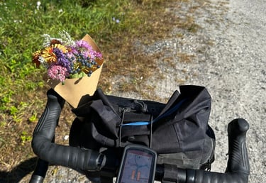 Narrow Locks DIY-Brevet