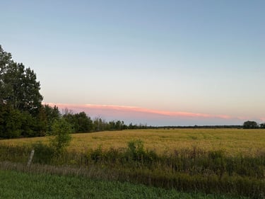 Narrow Locks DIY-Brevet