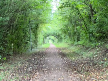 To Hårbølle #eurobiketrip