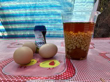 Chillán a Concepción: Gran Fondo