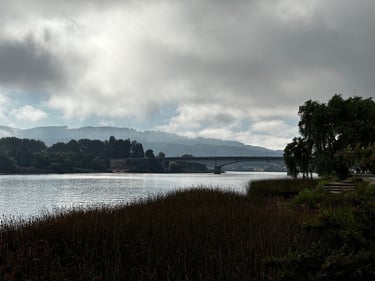Valdivia 👉 Niebla