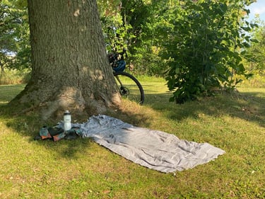a blanket on the ground by a tree and a bicycle