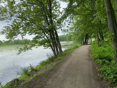 riding back from plaisance