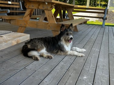 LDW Day 3: day-long pain cave