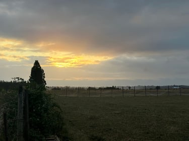 Sunset at Lanalhue Lake