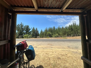 Chillán a Concepción: Gran Fondo