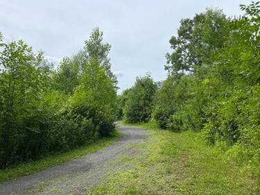 Peregrination for new GPU