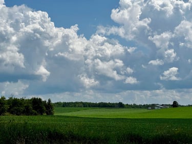 Chaffey’s Lock to Ottawa through Merrickville