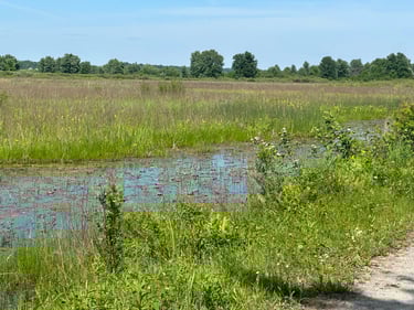 camping with nathan and nick