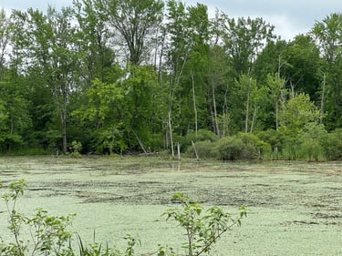 riding back from plaisance
