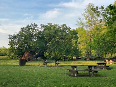 the calm after the storm 