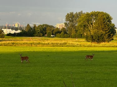 exploring the Trans Canada Trail