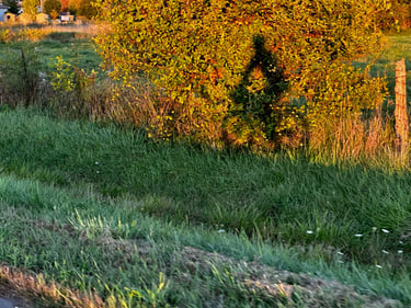 Narrow Locks DIY-Brevet