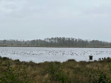 To Krautsand #eurobiketrip