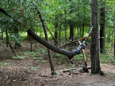 back home from wesley clover parks