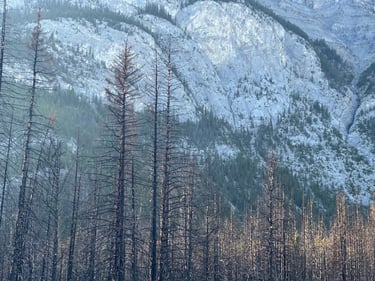 Exploring Banff with Phil