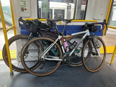 Step Thru Train Ride