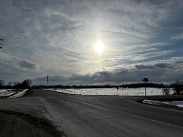 Petit Roubaix with the gang