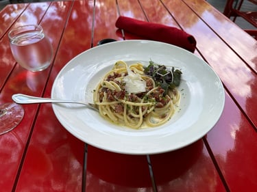 Chaffey’s Lock to Ottawa through Merrickville