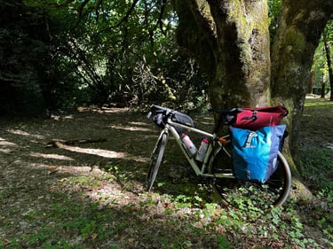 Valdivia 👉 Niebla