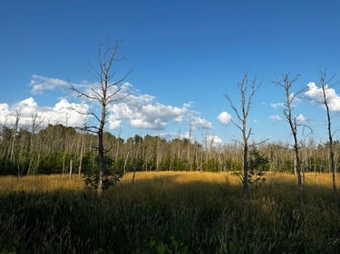 Chaffey’s Lock to Ottawa through Merrickville