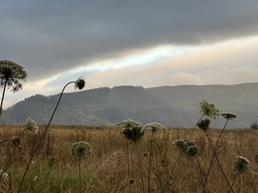 Sunset at Lanalhue Lake