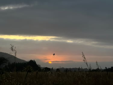 Sunset at Lanalhue Lake