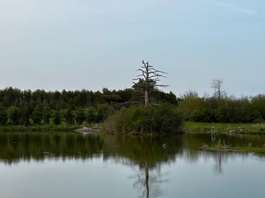 Riding around Shirley’s Bay