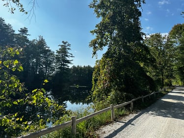 LDW Day 2: chill day