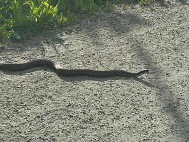 back home from summit 🌈