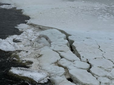 Jojo on Ice ⛸️ (super slick edition!)