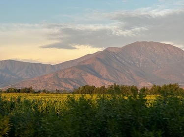 Brevet 300km: Vuelta los Poetas