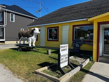 Narrow Locks DIY-Brevet