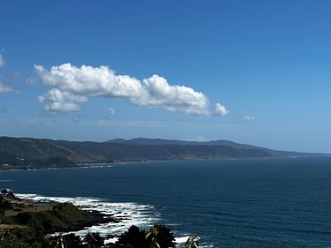 Niebla + Corral 🚵‍♂️