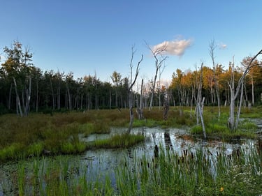 riding to Fort-Coulonge (feat. PPJ)