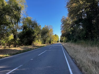 Brevet Valdivia: Accident Edition 🚑