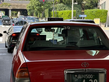 Tokyo Scramble to Yoyogi Park