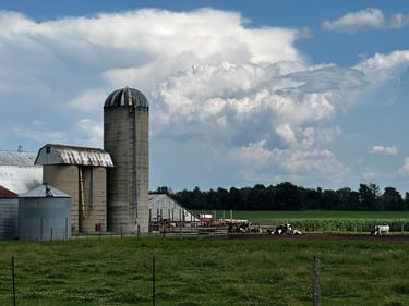 Chaffey’s Lock to Ottawa through Merrickville