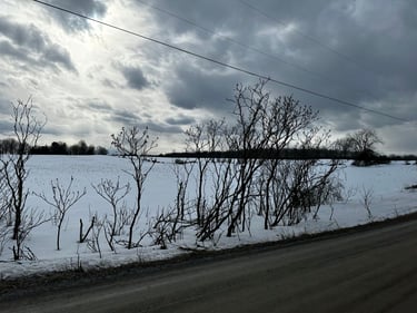 Petit Roubaix with the gang