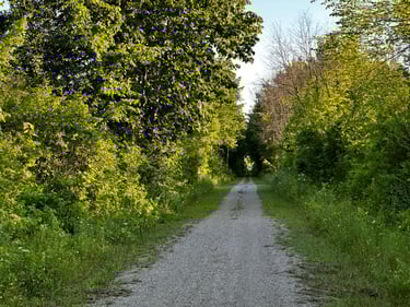 Bikepacking to The Opinicon