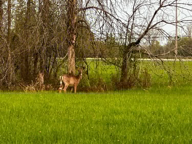 Riding around Shirley’s Bay