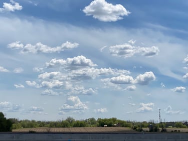 SJAM + Wesley Clover